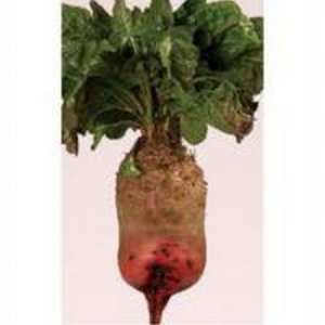 ������ �������, �������, �������� ������, ������� � �������� ���� - ����������� 1