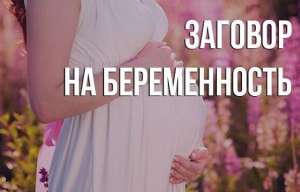 ������ �������. �������. ������������ �����������. - ����������� 1