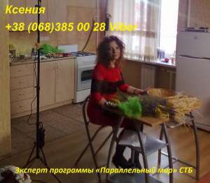 ������ �������. �������� � �������� ����� - ����������� 1