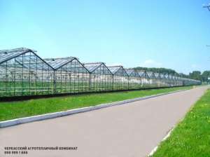 ������ ������� ��������� �������� - "���������� ������������� ��������" - ����������� 1