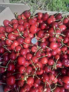 ������ ������� �������������� ������ � ���� ����� - ����������� 1