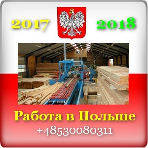 ������, �������� 2017 � ������. ��������� - ����������� 1