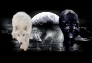 ������ ��������. - ����������� 1