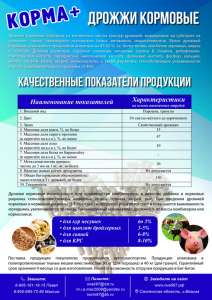 ������ �������� - ����������� 1