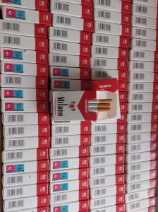 ������ �������� - ����������� 1