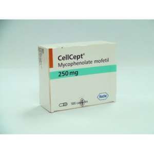 ������ �������� �� ������ ���� - ����������� 1