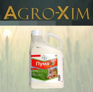 ������ �������� ���� ����� - ����������� 1