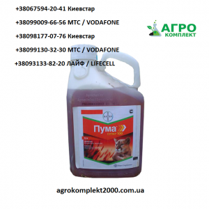 ������ �������� ���� �����, ������� - ����������� 1