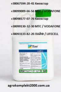 ������ �������� ����, �������� - ����������� 1