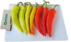 ������ �������� ����� Kampai F1 / ������ F1 ����� ������ - ����������� 1