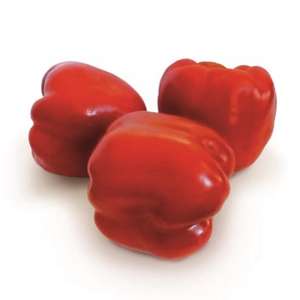 ������ �������� ����� KS 04 F1 ����� ������ - ����������� 1