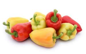 ������ �������� ����� Yanika F1 / ����� F1 ����� ������ - ����������� 1