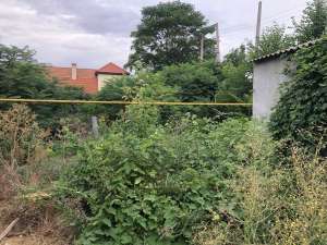 ������ ��������, ����� � �������. ��� ��� ���� - ����������� 1