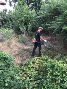 ������ ��������, ����� � �������. ������ ��������� ��� ��� ���� - ����������� 1