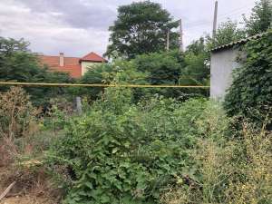 ������ ��������, �����, �������. ��� ��� ���� - ����������� 1