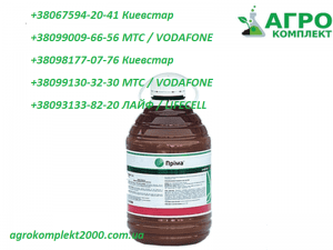 ������ �������� ����� (�������� Syngenta), ���� - ����������� 1