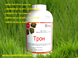 ������ �������� ����� (�������� ����), �������� - ����������� 1