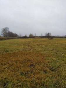 ������ �������� ������ 10 ����� � ����� �������� - ����������� 1