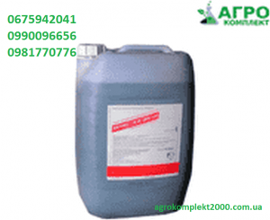 ������ �������� ������, ���� - ����������� 1