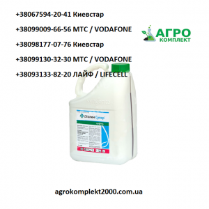 ������ �������� ������ �����, �������� - ����������� 1