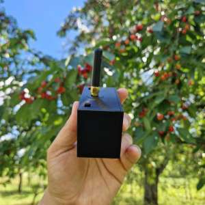 ������ �������� ������ �������� (��������) - ����������� 1