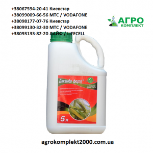 ������ �������� ������� - ����������� 1