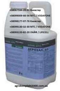 ������ �������� ������� - ����������� 1