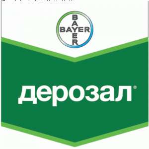 ������ �������� ������� - ����������� 1