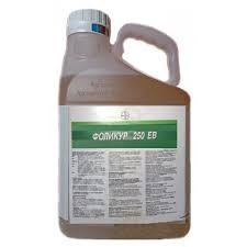 ������ �������� ������� - ����������� 1