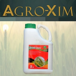 ������ �������� ������� - ����������� 1