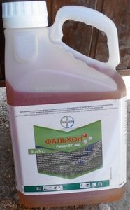 ������ �������� ������� - ����������� 1