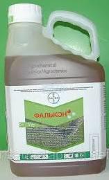 ������ �������� �������, �������� - ����������� 1