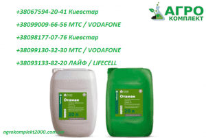 ������ �������� ������� (�������� ������), ����������� - ����������� 1