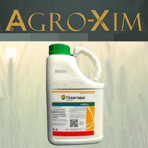 ������ �������� �������� - ����������� 1