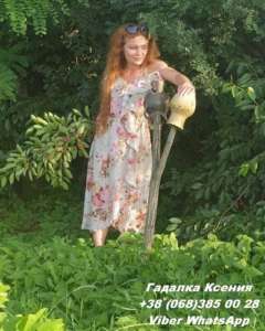 ������ ��������. ����������� �����. �������� �����. - ����������� 1