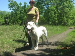 ������ �������� ������(�������) - ������ - ����������� 1