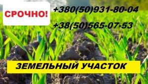 ������ ��������� ��� � ��������� �������. �� ������� - ����������� 1