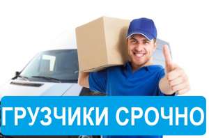 ������ ��������� ���� - ����������� 1