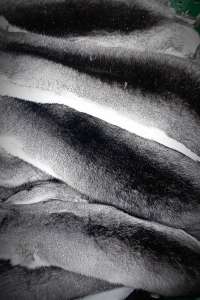 ������ ��������� �����, ������ �� ����� ��������� - ����������� 1