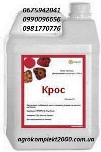 ������ ��������� ����� ����������-������, ���� - ����������� 1