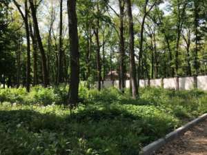 ������ ��������� ������� - ����������� 1