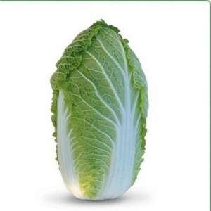 ������ ��������� ������� KS 340 F1 (������) - ����������� 1