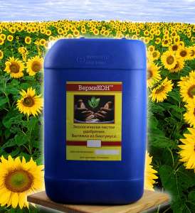 ������ ��������� �������� � ���������� �������� - ����������� 1