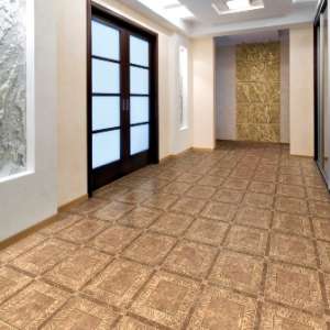 ������ ��������� ��������� ������ ��� ���� - ����������� 1