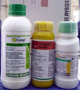 ������ ��������� �������������������� ����� ����� ������ ����� � ������. - ����������� 1