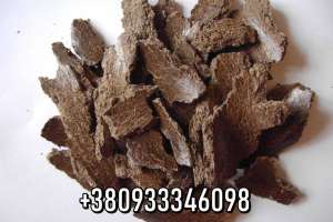 ������ ���������i, ����������, ���� ����������, ������ �o�o��, �o�o��� - ����������� 1