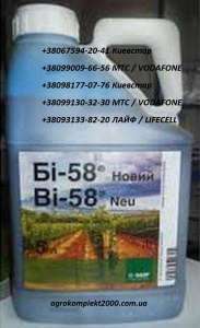 ������ ���������� �� 58, ����������� - ����������� 1