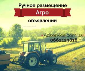 ������ ���������� ���� ����������. ���������� ���� ����������. - ����������� 1