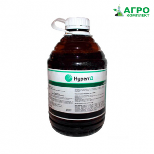 ������ ���������� ����� �, ����������� - ����������� 1