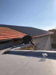 ������ ���������� ������ � ����� ����� ����. - ����������� 1